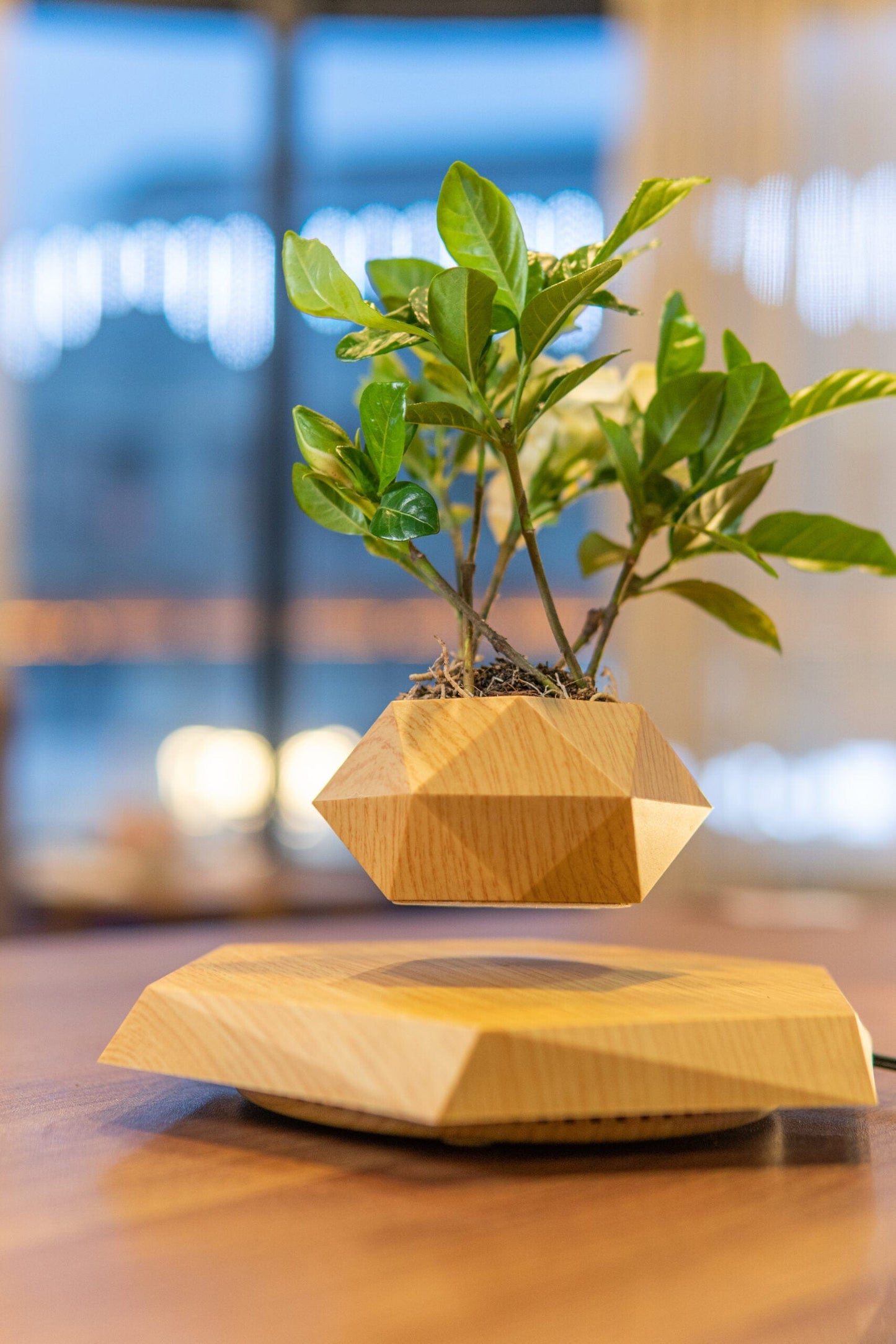 FlyBio™ Magnetic Floating Pot