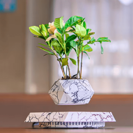 FlyBio™ Magnetic Floating Pot