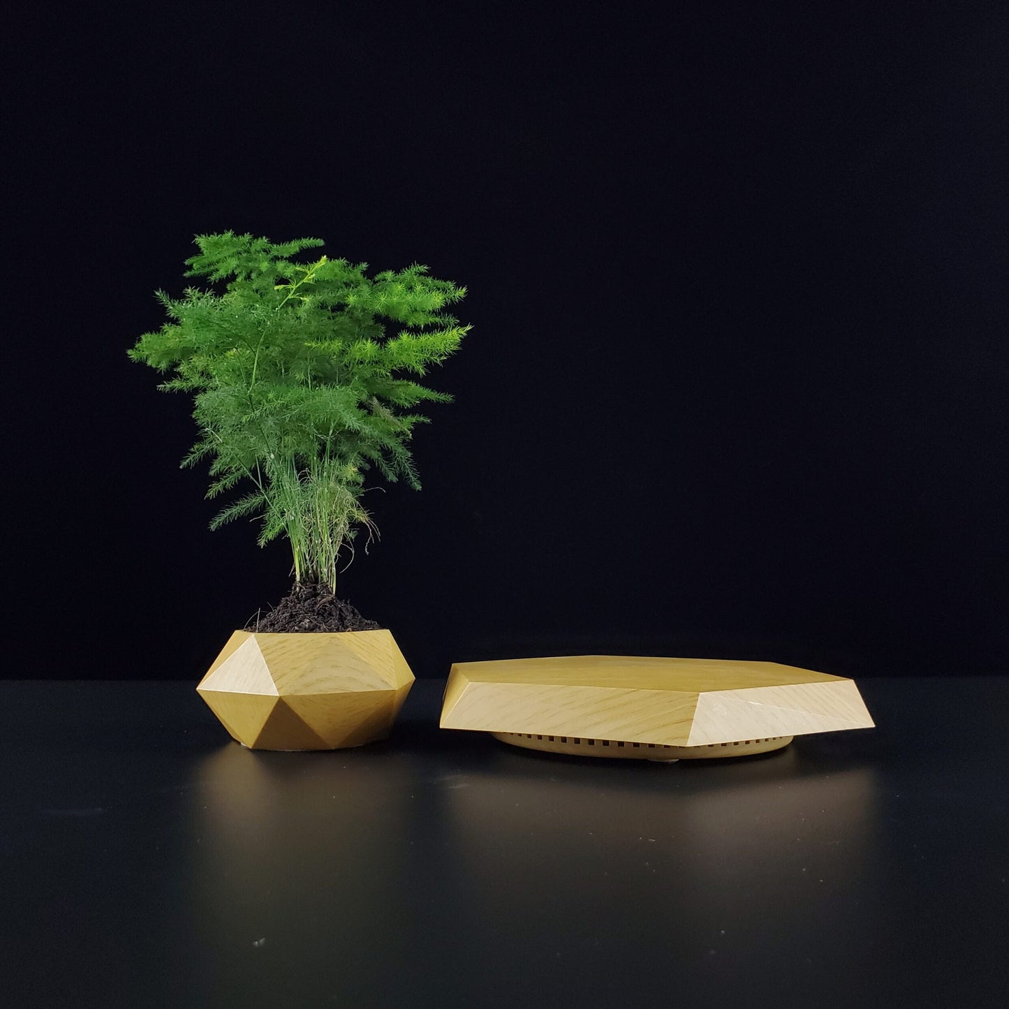 FlyBio™ Magnetic Floating Pot